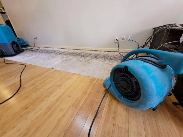 Professional Water Damage Repair technician working in Saint Joseph, MN